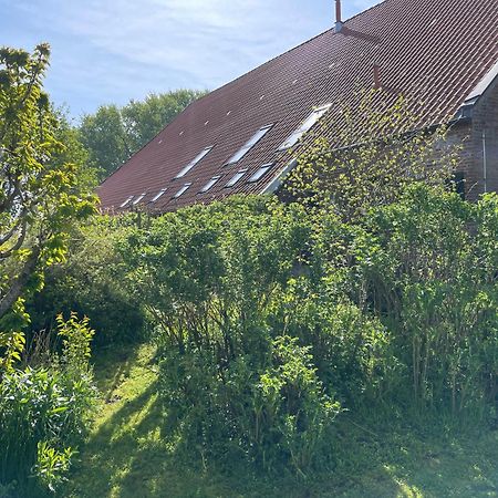 Ferienhof Spiegelhaus Krummhörn Eksteriør billede