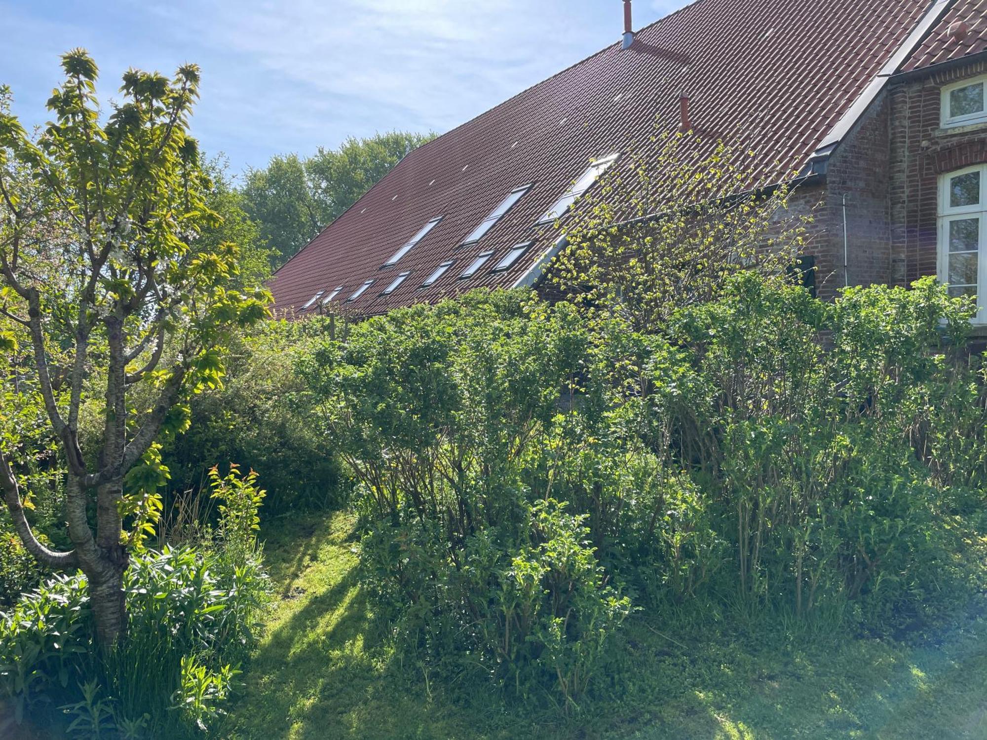 Ferienhof Spiegelhaus Krummhörn Eksteriør billede
